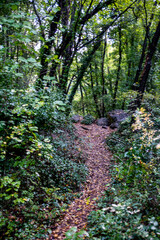 bridge of the bull Marmore waterfall