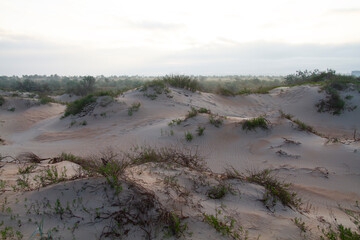 Sand dunes landscape