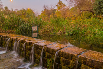 Sunset view of trees, fall foliage, En Hemed National Park