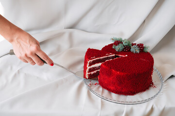 female hands serve red velvet cake slice on a plate gray background copy space