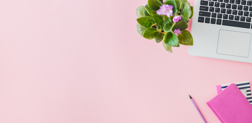 Flat lay home office desktop with laptop, flowers in a pot, office supplies on a pink background