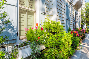 Fototapeta na wymiar Closed pastel blue color windows and pink orange flowers in planter as decorations on sunny summer day architecture in Charleston, South Carolina