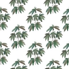 Seamless pattern with cannabis plant on a white background. Marijuana leaves, cannabis.