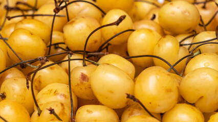 A bunch of ripe sweet yellow cherries. Close-up of fresh yellow cherries. Fresh summer background. Organic concept.