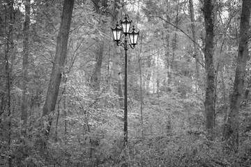 Hamburg, Germany. The Harburg Hills (German: Harburger Berge). Street lantern in the woods.