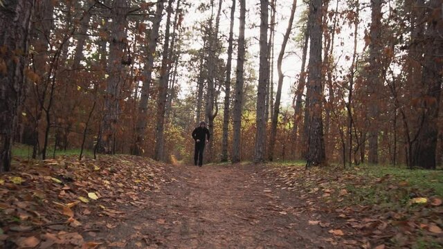 A guy in black clothes runs towards the camera. Forest, trail, pines, trees, dawn, day, cloudy cold