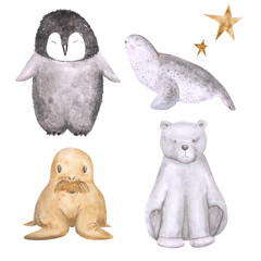 Watercolor baby penguin, seal, walrus, polar bear, and stars isolated on a white background. Hand-drawn antarctic animals for your design. Cute illustration of arctic babies.