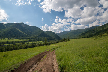 Plakat country road in the mountain forests of the Altai mountains