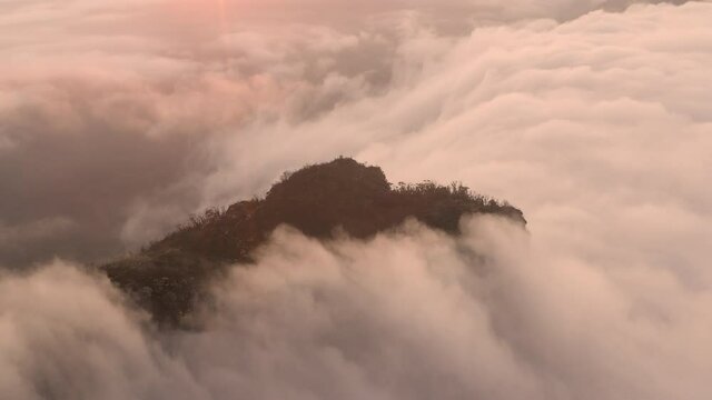 Aerial view over mountain top sticking out of the clouds filling the valley in the Blue Mountains.