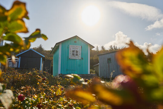 Holzh&auml;user bei Gegenlicht