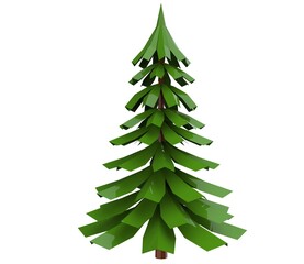 Fir Tree isolated on a white background