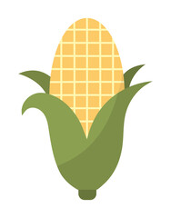 corn of a yellow color with a white background