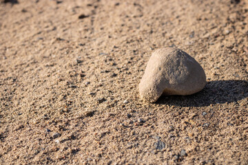 Fototapeta na wymiar A stone. One stone on brown sand. Close-up