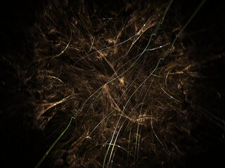 Imaginatory fractal background Image