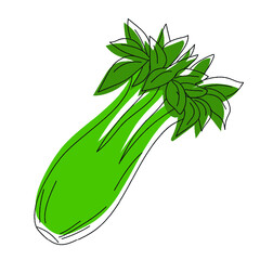 Ilustraci&oacute;n vectorial de apio - illustration of a celery - vector with outline