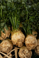 Beautiful celery on the market