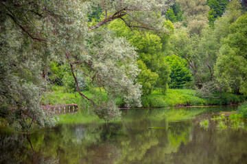 Beautiful summer landscape with river and trees.