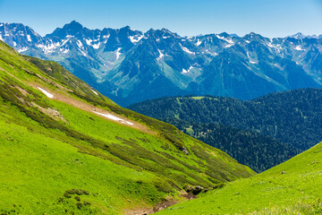 Fototapeta premium Beautiful mountain landscape with forest at Caucasus mountains.