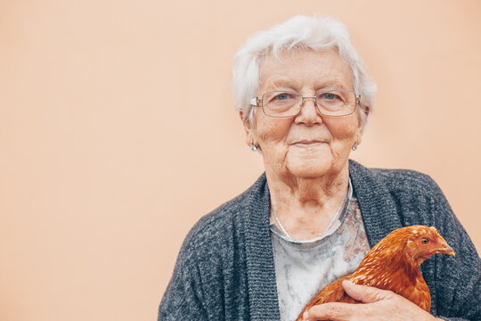 Lovely grandmother or grandma with chicken in hands, domestic animals