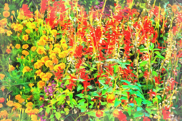 Beautiful colorful flowers in the garden summer view