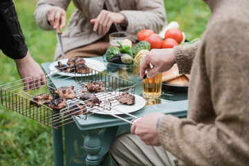 A young couple celebrates their wedding anniversary on a country plot. They roast meat, drink beer, relax in nature