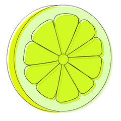 Ilustraci&oacute;n vectorial de una naranja - citrico - illustration of a orange fruit  - vector with outlines