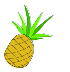 Ilustraci&oacute;n vectorial de una pi&ntilde;a - illustration of a pineapple fruit - vector - vector with outlines
