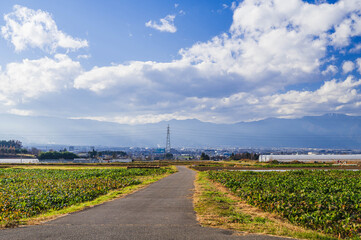 田舎の風景　日常