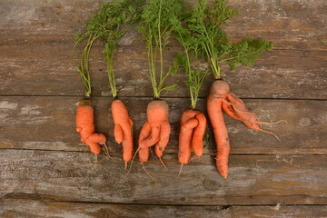 Fresh raw deformed carrot roots lying on wooden board, studio shot, horizontal orientation, nobody.