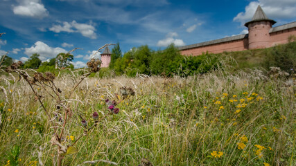 monastery wall in the field