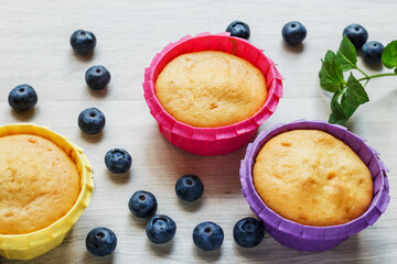 Muffins in multi-colored paper tins and blueberries on a light wooden background. Sweet pastries. Homemade baking. Sweets for the holiday. Freshly baked cupcakes on a wooden background.