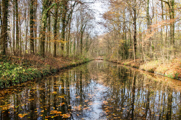 Fototapeta na wymiar Trees with few leaves left reflect in a canal in Haagse Bos forest in The Hague, The Netherlands in early december