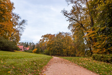 Autumn trees alley with colorful leaves in the park