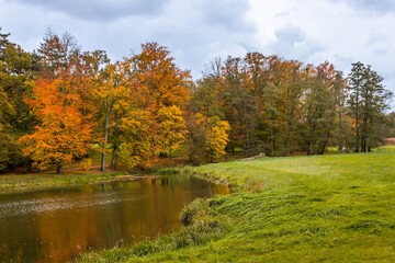 Obraz premium Autumn trees alley with colorful leaves in the park