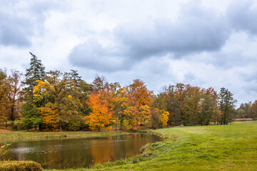 Fototapeta premium Autumn trees alley with colorful leaves in the park
