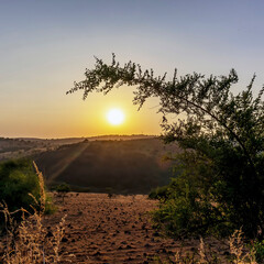 sunset in the desert