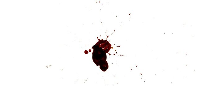 Blood Stock Footage In White Background