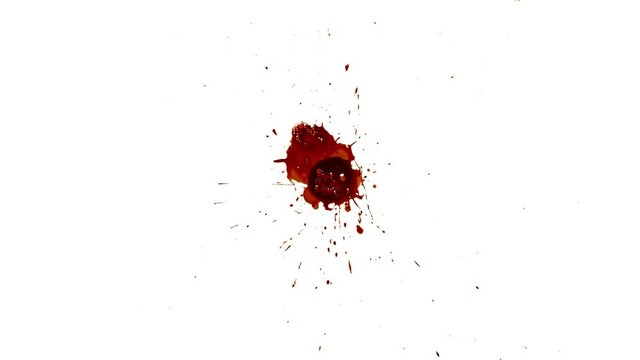 Blood Stock Footage In White Background