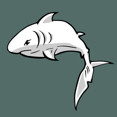 Tough white shark - vector illustration in four colors