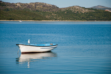 Naklejka na ściany i meble Empty boat with seagull with shore and hills in the background