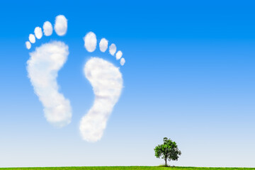 Footprints formed by Clouds on a Blue Sky Over a Green Meadow with a Tree