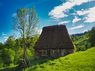 Countryside House