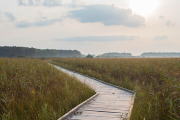 Trail in Polesie National Park, wooden footbrigde through swamps on the trail Czahary, early morning, birdwatching in Poleski Park Narodowy - obrazy, fototapety, plakaty