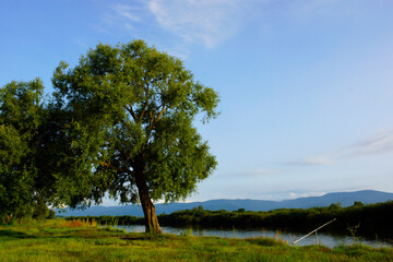 summer landscape with a river, a fishing pole and a tree