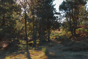 Vista del Parque natural 