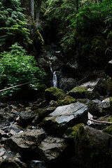 Waterfall at Upana Caves, Gold River, Vancouver Island, British Columba, Canada