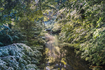View from Huerquehue National Park, Pucon - Chile.