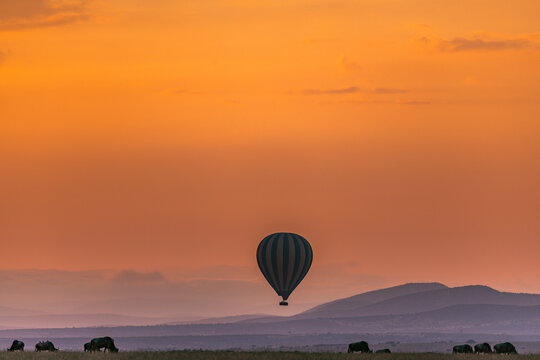 Kenyan Landscapes Sunrise Sunset Sundowner Hot Air Ballon Wildebeest Wildlife Animals Maasai Mara National Game Reserve Park Great Rift Valley Narok County Kenya East African Landscapes Field Mountain