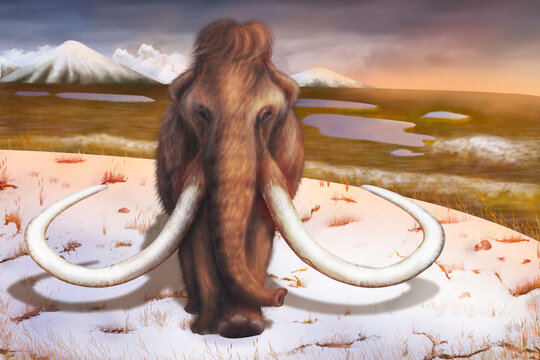 An ancient male mammoth walks across the plain.