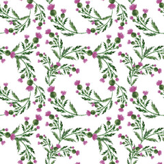 Watercolor seamless pattern with stylized twigs, flowers and leaves of the Thistle plant